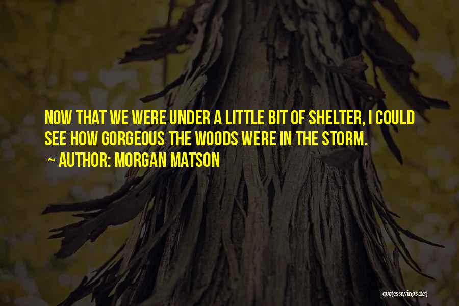 Morgan Matson Quotes: Now That We Were Under A Little Bit Of Shelter, I Could See How Gorgeous The Woods Were In The