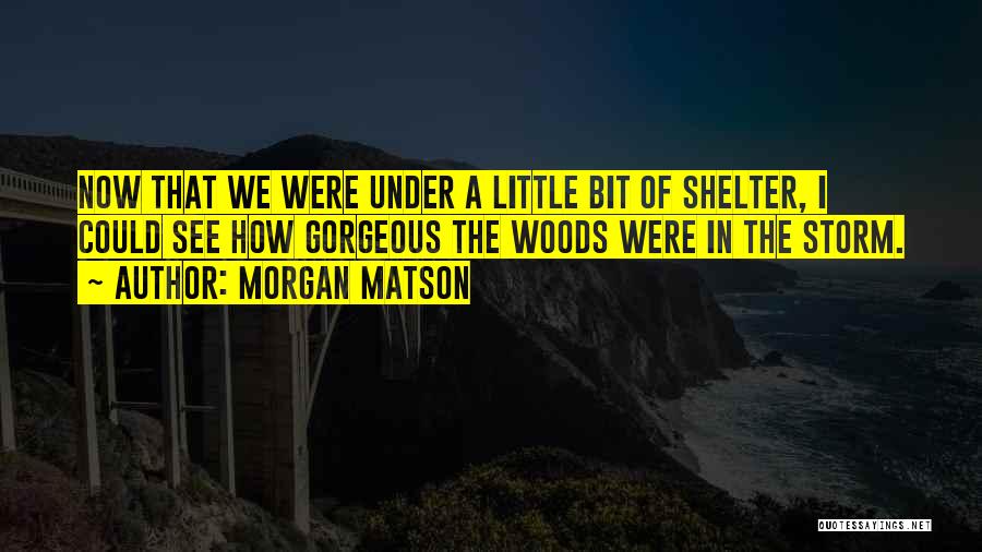 Morgan Matson Quotes: Now That We Were Under A Little Bit Of Shelter, I Could See How Gorgeous The Woods Were In The