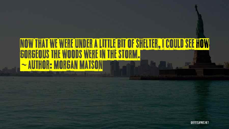 Morgan Matson Quotes: Now That We Were Under A Little Bit Of Shelter, I Could See How Gorgeous The Woods Were In The