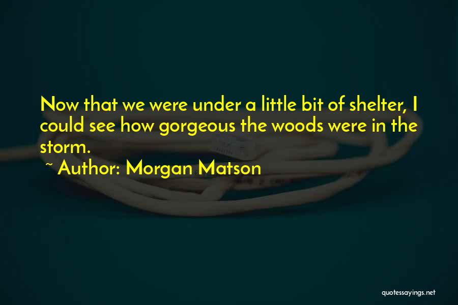 Morgan Matson Quotes: Now That We Were Under A Little Bit Of Shelter, I Could See How Gorgeous The Woods Were In The