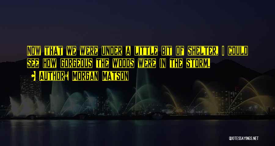 Morgan Matson Quotes: Now That We Were Under A Little Bit Of Shelter, I Could See How Gorgeous The Woods Were In The