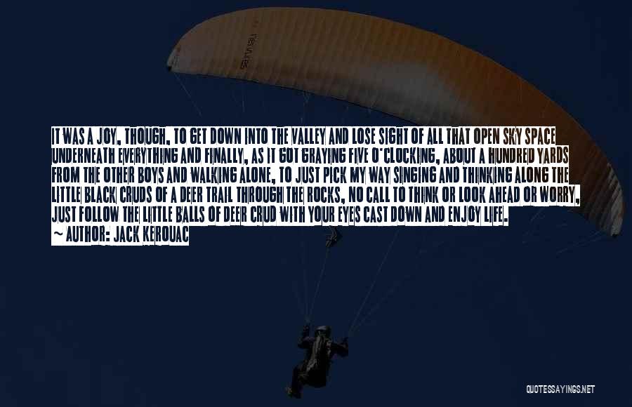 Jack Kerouac Quotes: It Was A Joy, Though, To Get Down Into The Valley And Lose Sight Of All That Open Sky Space