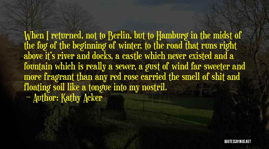 Kathy Acker Quotes: When I Returned, Not To Berlin, But To Hamburg In The Midst Of The Fog Of The Beginning Of Winter,