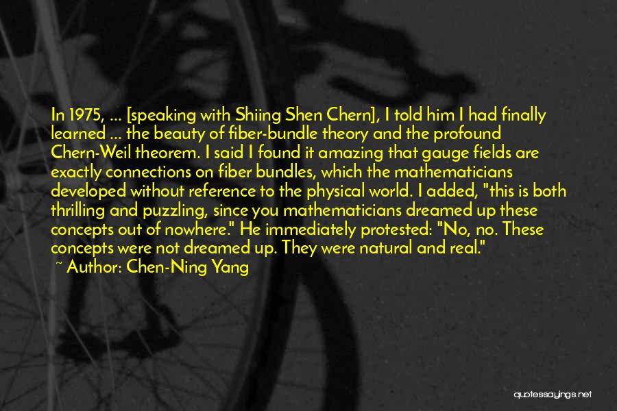 Chen-Ning Yang Quotes: In 1975, ... [speaking With Shiing Shen Chern], I Told Him I Had Finally Learned ... The Beauty Of Fiber-bundle