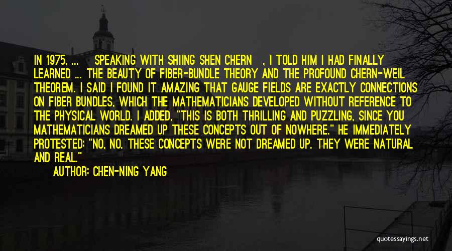 Chen-Ning Yang Quotes: In 1975, ... [speaking With Shiing Shen Chern], I Told Him I Had Finally Learned ... The Beauty Of Fiber-bundle