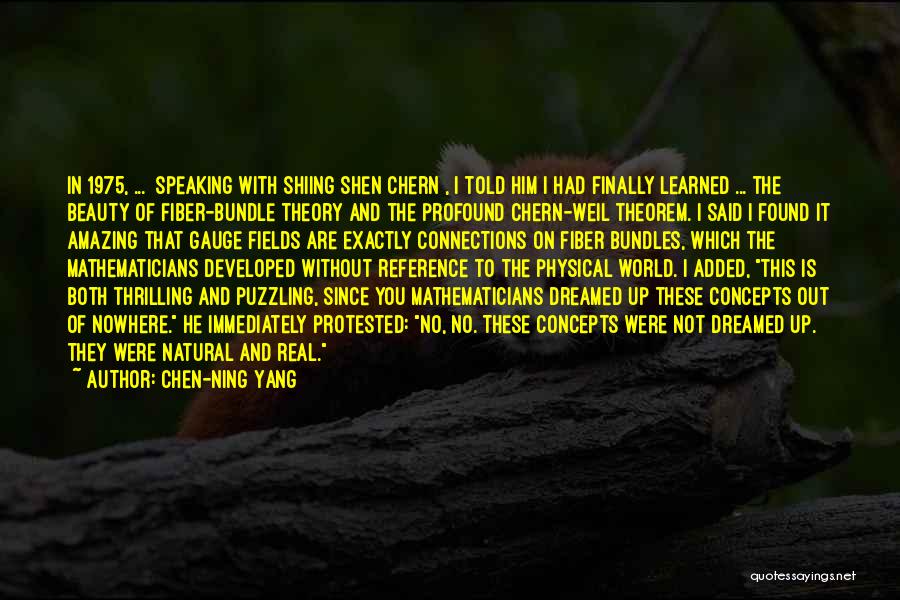 Chen-Ning Yang Quotes: In 1975, ... [speaking With Shiing Shen Chern], I Told Him I Had Finally Learned ... The Beauty Of Fiber-bundle