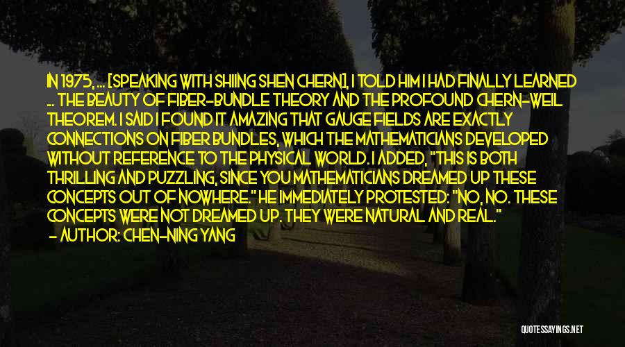 Chen-Ning Yang Quotes: In 1975, ... [speaking With Shiing Shen Chern], I Told Him I Had Finally Learned ... The Beauty Of Fiber-bundle