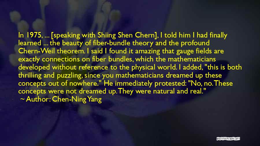 Chen-Ning Yang Quotes: In 1975, ... [speaking With Shiing Shen Chern], I Told Him I Had Finally Learned ... The Beauty Of Fiber-bundle