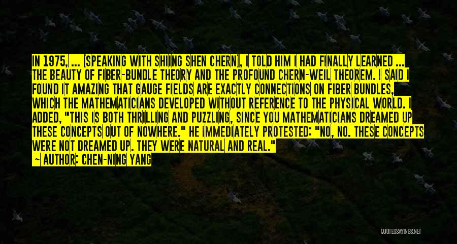 Chen-Ning Yang Quotes: In 1975, ... [speaking With Shiing Shen Chern], I Told Him I Had Finally Learned ... The Beauty Of Fiber-bundle