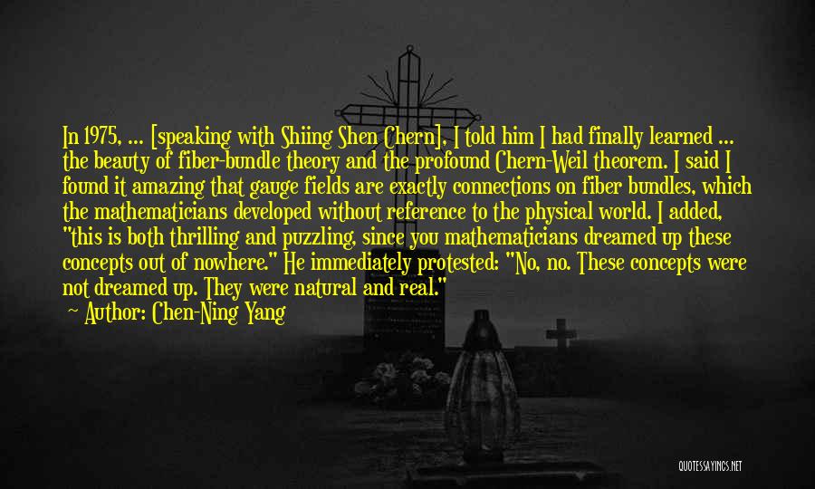 Chen-Ning Yang Quotes: In 1975, ... [speaking With Shiing Shen Chern], I Told Him I Had Finally Learned ... The Beauty Of Fiber-bundle