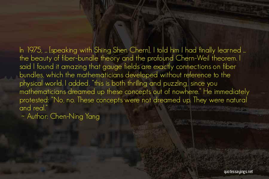 Chen-Ning Yang Quotes: In 1975, ... [speaking With Shiing Shen Chern], I Told Him I Had Finally Learned ... The Beauty Of Fiber-bundle