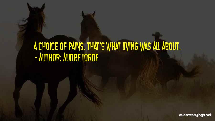 Audre Lorde Quotes: A Choice Of Pains. That's What Living Was All About.
