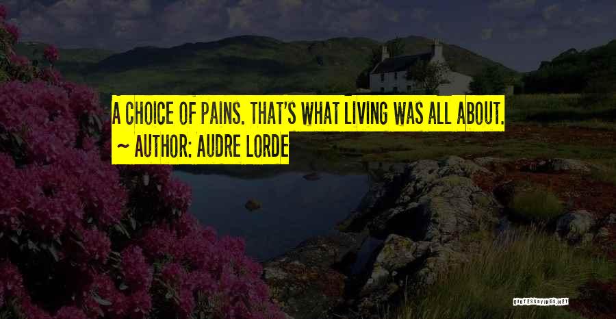 Audre Lorde Quotes: A Choice Of Pains. That's What Living Was All About.