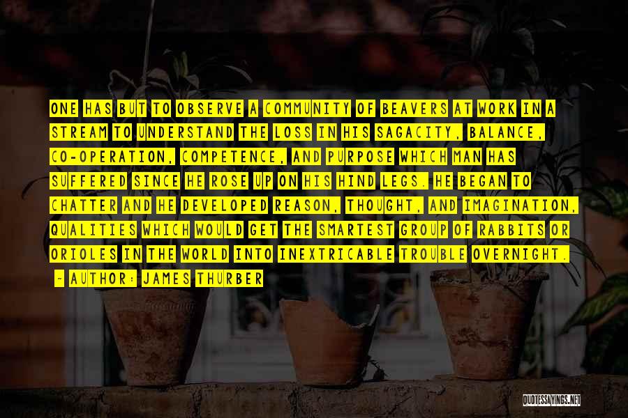 James Thurber Quotes: One Has But To Observe A Community Of Beavers At Work In A Stream To Understand The Loss In His