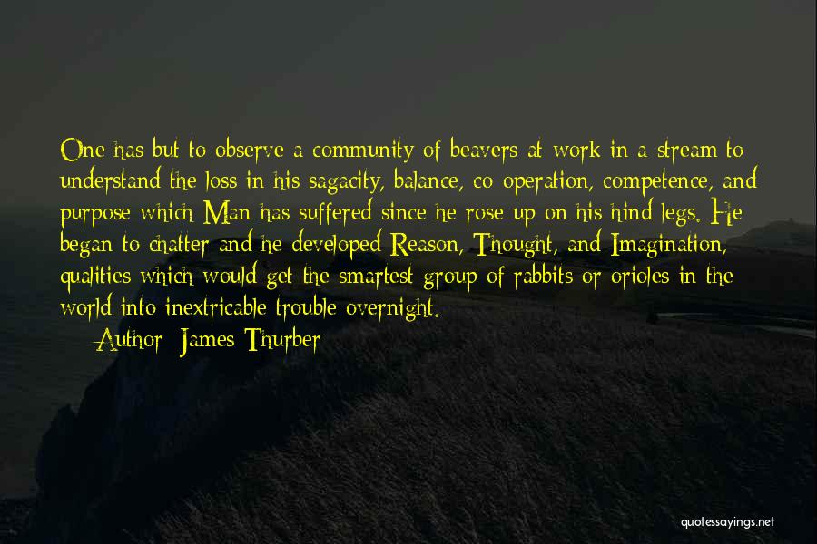 James Thurber Quotes: One Has But To Observe A Community Of Beavers At Work In A Stream To Understand The Loss In His