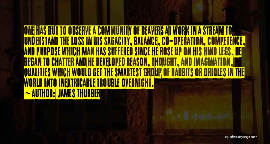 James Thurber Quotes: One Has But To Observe A Community Of Beavers At Work In A Stream To Understand The Loss In His