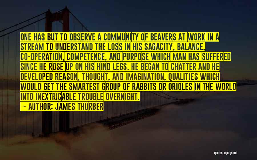 James Thurber Quotes: One Has But To Observe A Community Of Beavers At Work In A Stream To Understand The Loss In His