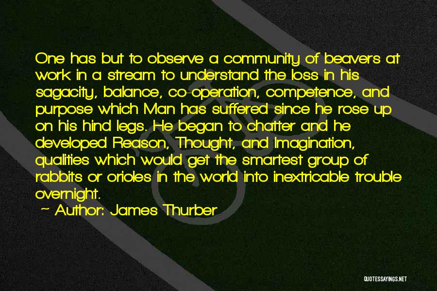 James Thurber Quotes: One Has But To Observe A Community Of Beavers At Work In A Stream To Understand The Loss In His