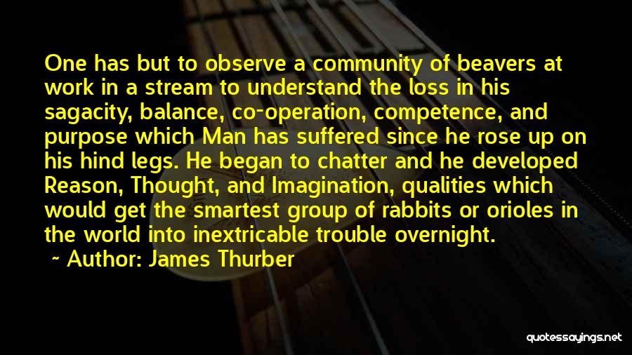 James Thurber Quotes: One Has But To Observe A Community Of Beavers At Work In A Stream To Understand The Loss In His