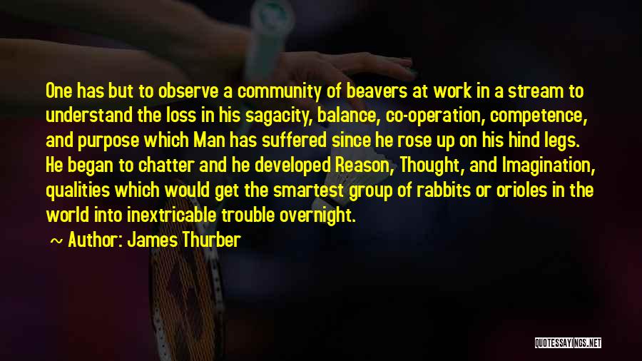 James Thurber Quotes: One Has But To Observe A Community Of Beavers At Work In A Stream To Understand The Loss In His