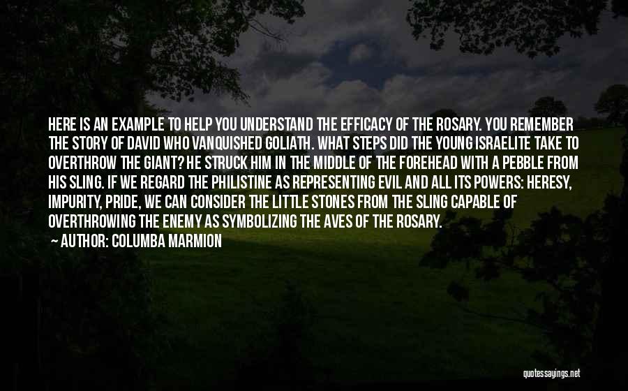 Columba Marmion Quotes: Here Is An Example To Help You Understand The Efficacy Of The Rosary. You Remember The Story Of David Who