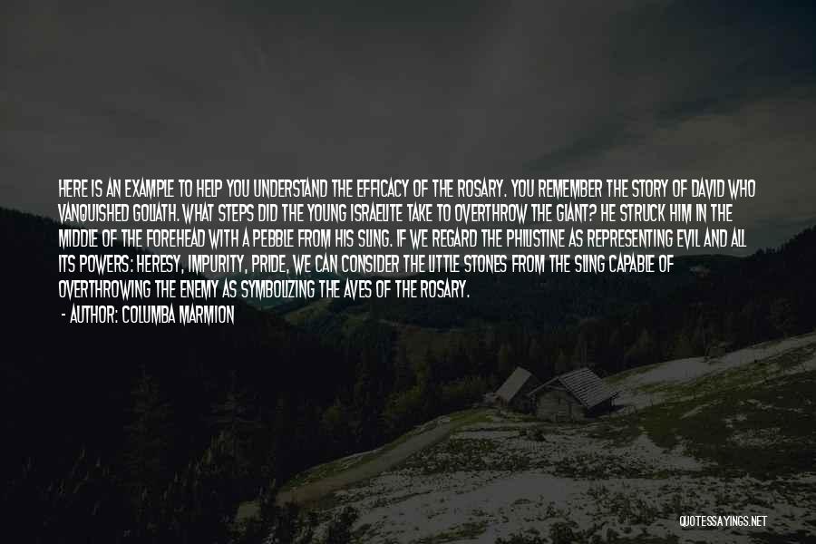 Columba Marmion Quotes: Here Is An Example To Help You Understand The Efficacy Of The Rosary. You Remember The Story Of David Who