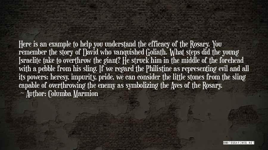 Columba Marmion Quotes: Here Is An Example To Help You Understand The Efficacy Of The Rosary. You Remember The Story Of David Who