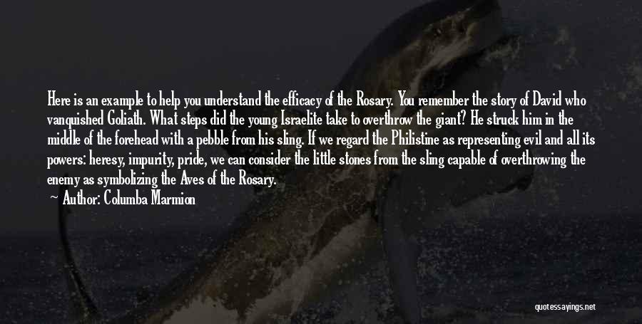 Columba Marmion Quotes: Here Is An Example To Help You Understand The Efficacy Of The Rosary. You Remember The Story Of David Who