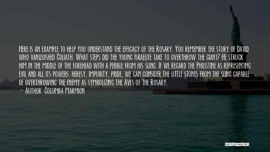 Columba Marmion Quotes: Here Is An Example To Help You Understand The Efficacy Of The Rosary. You Remember The Story Of David Who
