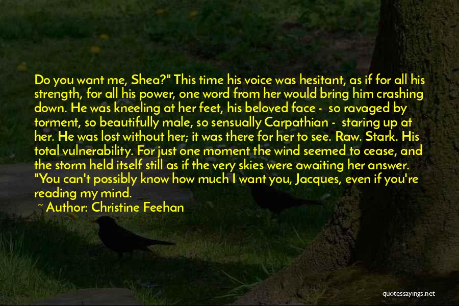 Christine Feehan Quotes: Do You Want Me, Shea? This Time His Voice Was Hesitant, As If For All His Strength, For All His