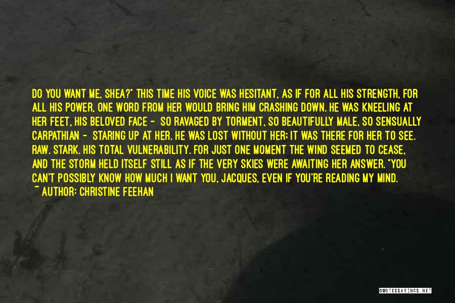 Christine Feehan Quotes: Do You Want Me, Shea? This Time His Voice Was Hesitant, As If For All His Strength, For All His