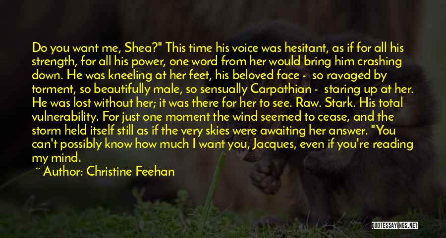 Christine Feehan Quotes: Do You Want Me, Shea? This Time His Voice Was Hesitant, As If For All His Strength, For All His