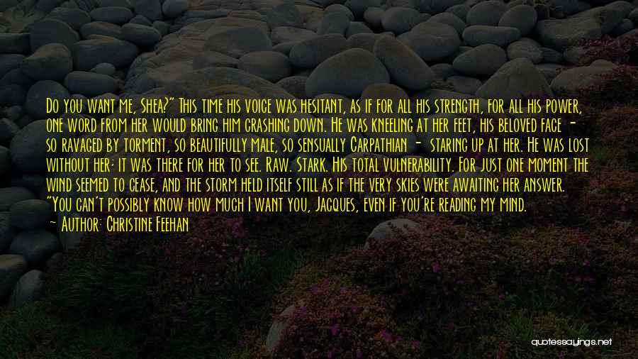 Christine Feehan Quotes: Do You Want Me, Shea? This Time His Voice Was Hesitant, As If For All His Strength, For All His