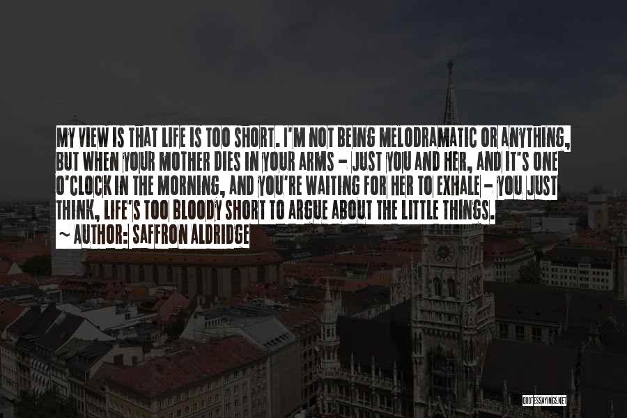 Saffron Aldridge Quotes: My View Is That Life Is Too Short. I'm Not Being Melodramatic Or Anything, But When Your Mother Dies In