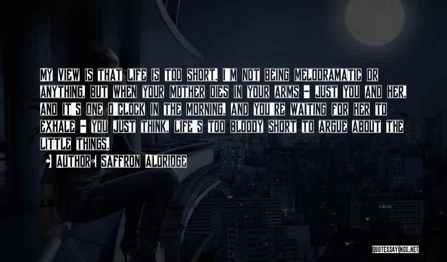 Saffron Aldridge Quotes: My View Is That Life Is Too Short. I'm Not Being Melodramatic Or Anything, But When Your Mother Dies In