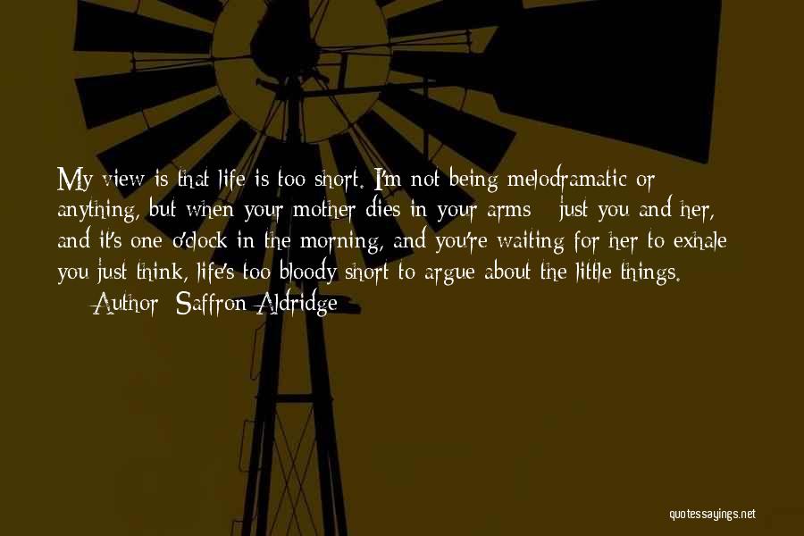 Saffron Aldridge Quotes: My View Is That Life Is Too Short. I'm Not Being Melodramatic Or Anything, But When Your Mother Dies In