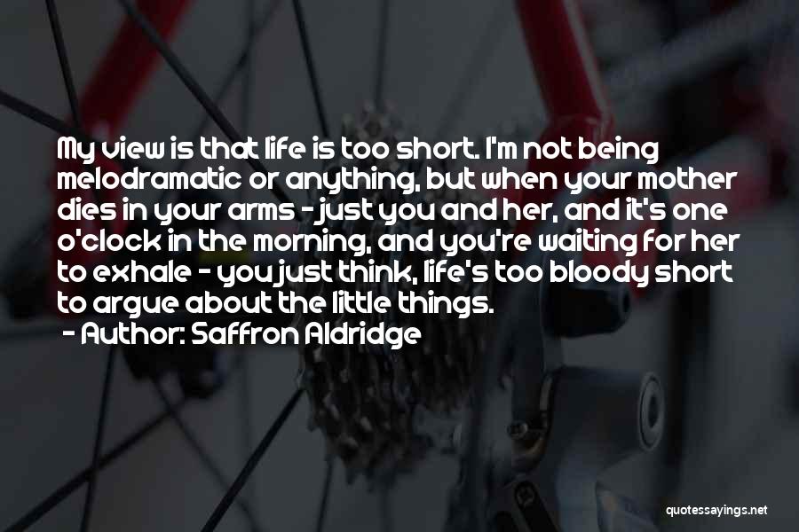 Saffron Aldridge Quotes: My View Is That Life Is Too Short. I'm Not Being Melodramatic Or Anything, But When Your Mother Dies In