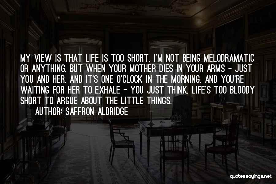 Saffron Aldridge Quotes: My View Is That Life Is Too Short. I'm Not Being Melodramatic Or Anything, But When Your Mother Dies In