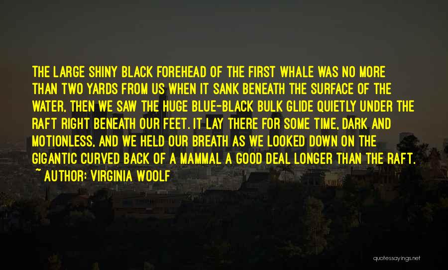 Virginia Woolf Quotes: The Large Shiny Black Forehead Of The First Whale Was No More Than Two Yards From Us When It Sank