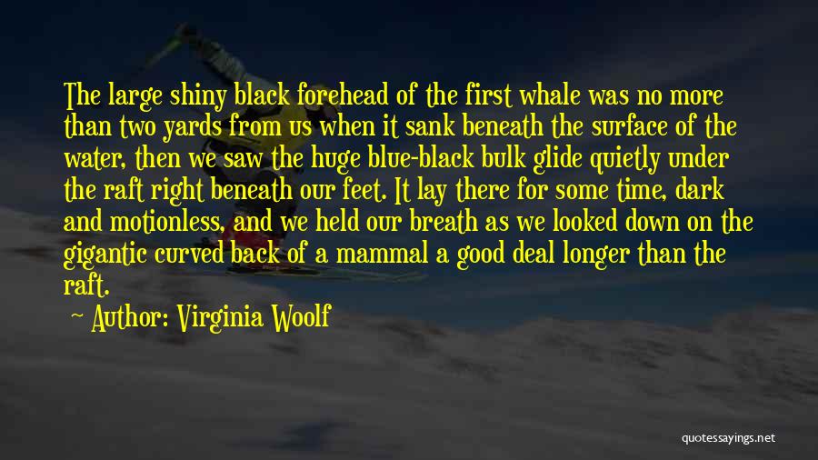 Virginia Woolf Quotes: The Large Shiny Black Forehead Of The First Whale Was No More Than Two Yards From Us When It Sank