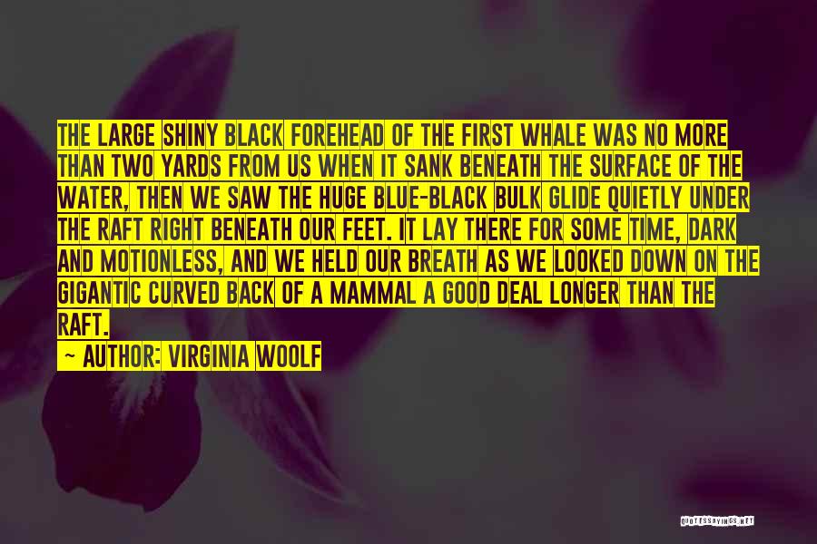 Virginia Woolf Quotes: The Large Shiny Black Forehead Of The First Whale Was No More Than Two Yards From Us When It Sank