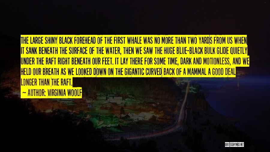 Virginia Woolf Quotes: The Large Shiny Black Forehead Of The First Whale Was No More Than Two Yards From Us When It Sank