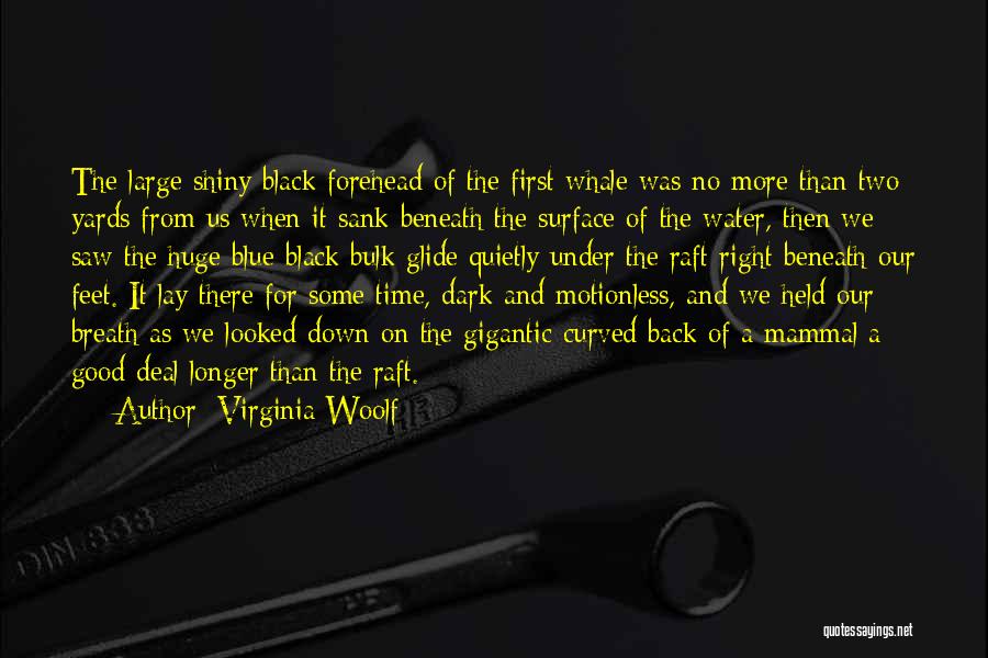 Virginia Woolf Quotes: The Large Shiny Black Forehead Of The First Whale Was No More Than Two Yards From Us When It Sank