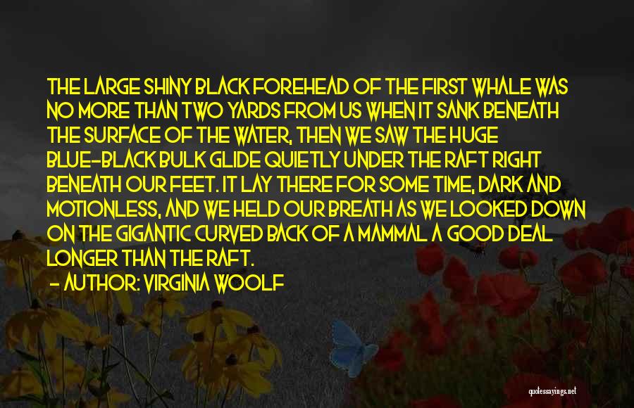 Virginia Woolf Quotes: The Large Shiny Black Forehead Of The First Whale Was No More Than Two Yards From Us When It Sank