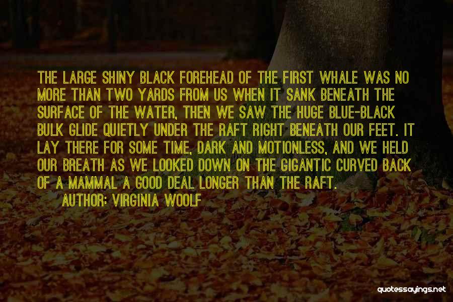 Virginia Woolf Quotes: The Large Shiny Black Forehead Of The First Whale Was No More Than Two Yards From Us When It Sank