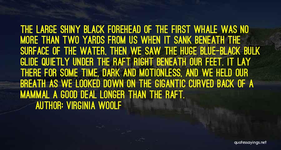 Virginia Woolf Quotes: The Large Shiny Black Forehead Of The First Whale Was No More Than Two Yards From Us When It Sank