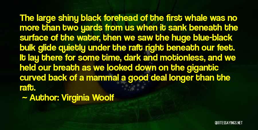 Virginia Woolf Quotes: The Large Shiny Black Forehead Of The First Whale Was No More Than Two Yards From Us When It Sank