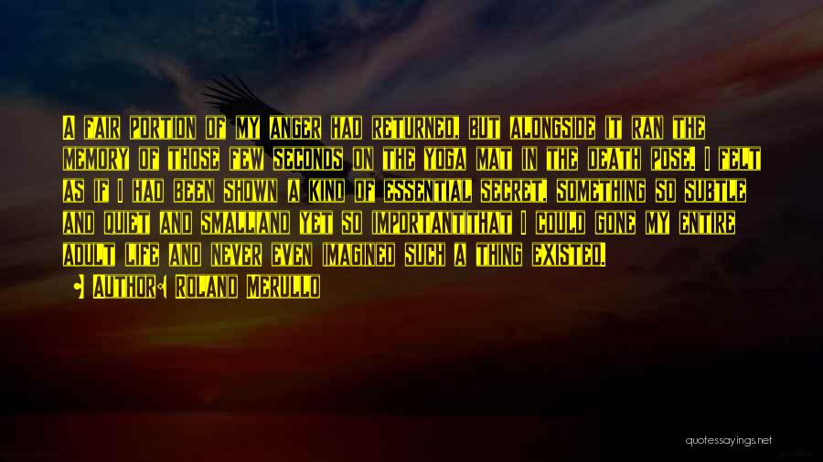 Roland Merullo Quotes: A Fair Portion Of My Anger Had Returned, But Alongside It Ran The Memory Of Those Few Seconds On The