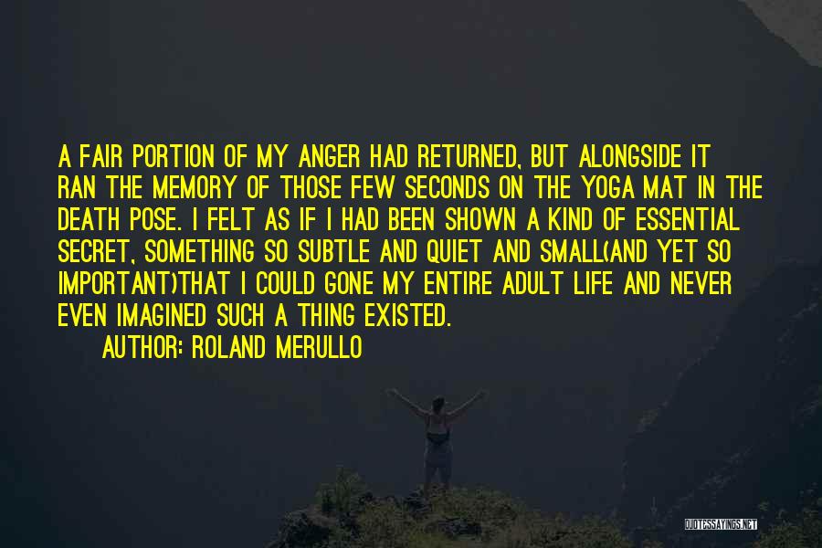 Roland Merullo Quotes: A Fair Portion Of My Anger Had Returned, But Alongside It Ran The Memory Of Those Few Seconds On The