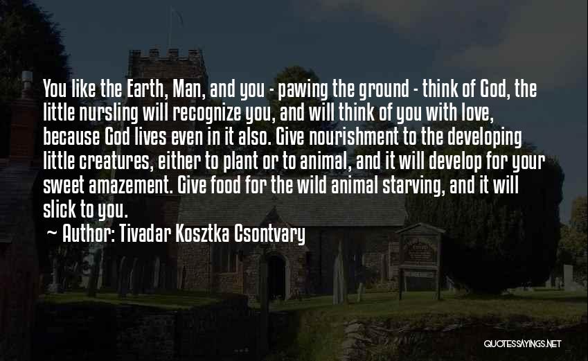 Tivadar Kosztka Csontvary Quotes: You Like The Earth, Man, And You - Pawing The Ground - Think Of God, The Little Nursling Will Recognize